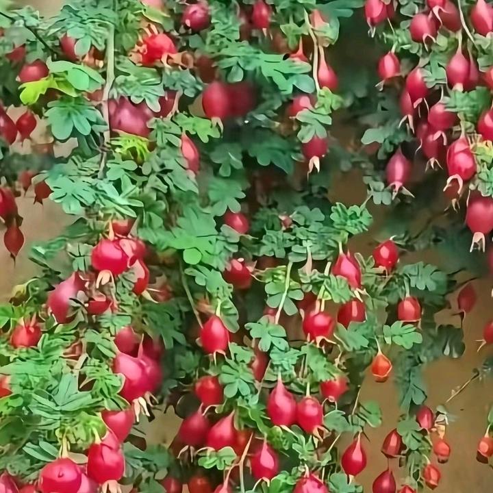 我是信姐