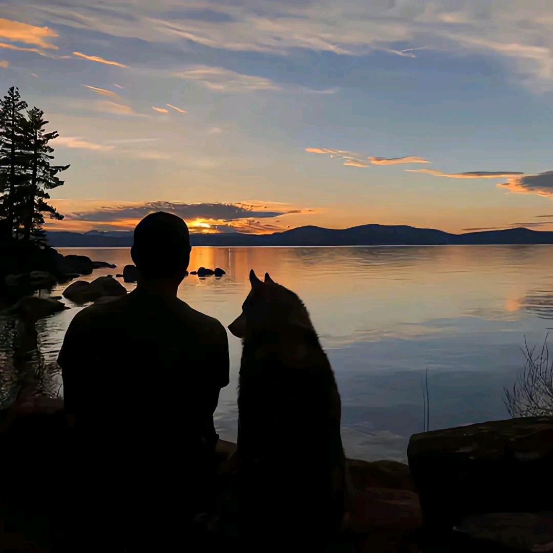 伯牙绝弦🍞ᵇᵃᵒ