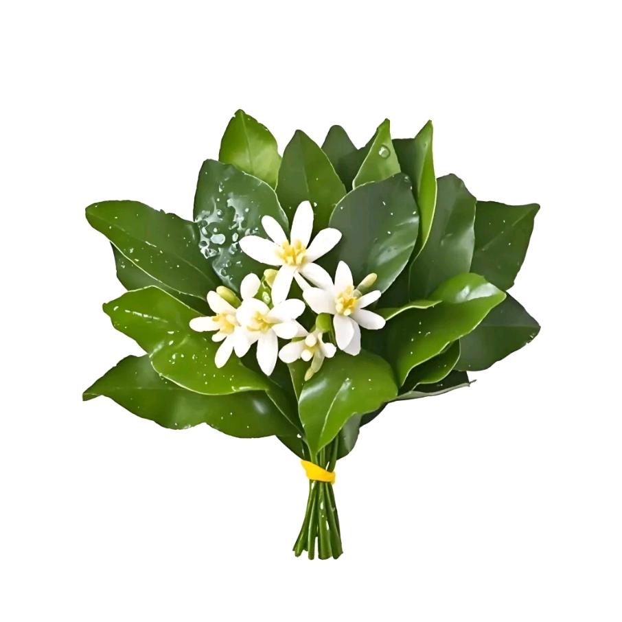 相见时难别亦难