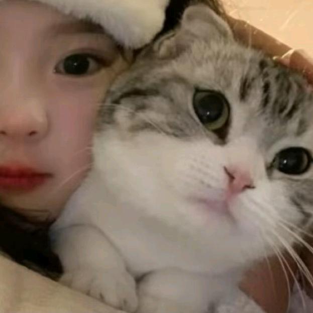 aie南风微凉🐾🐾🐾