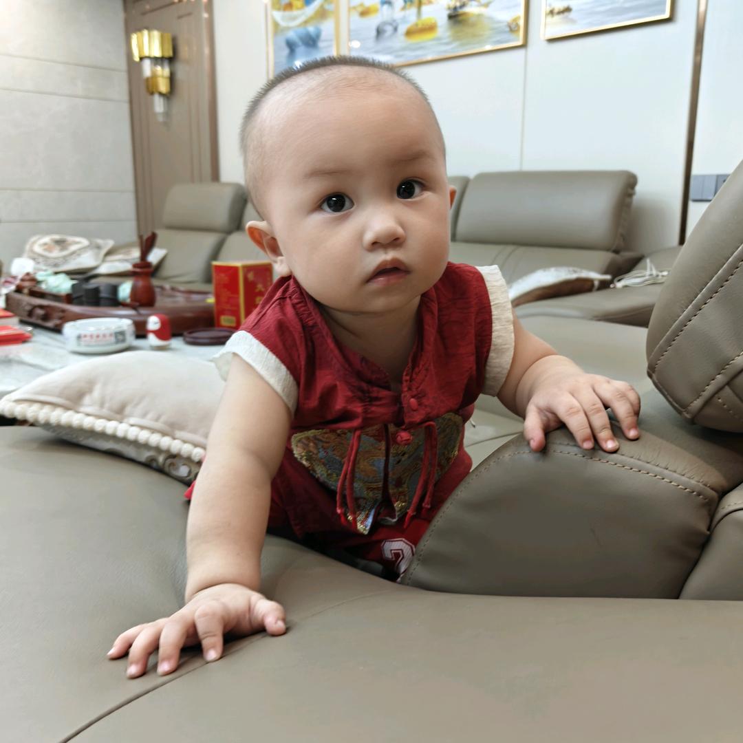 北北的星光