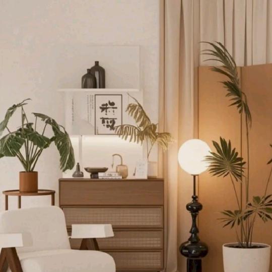 晴晴