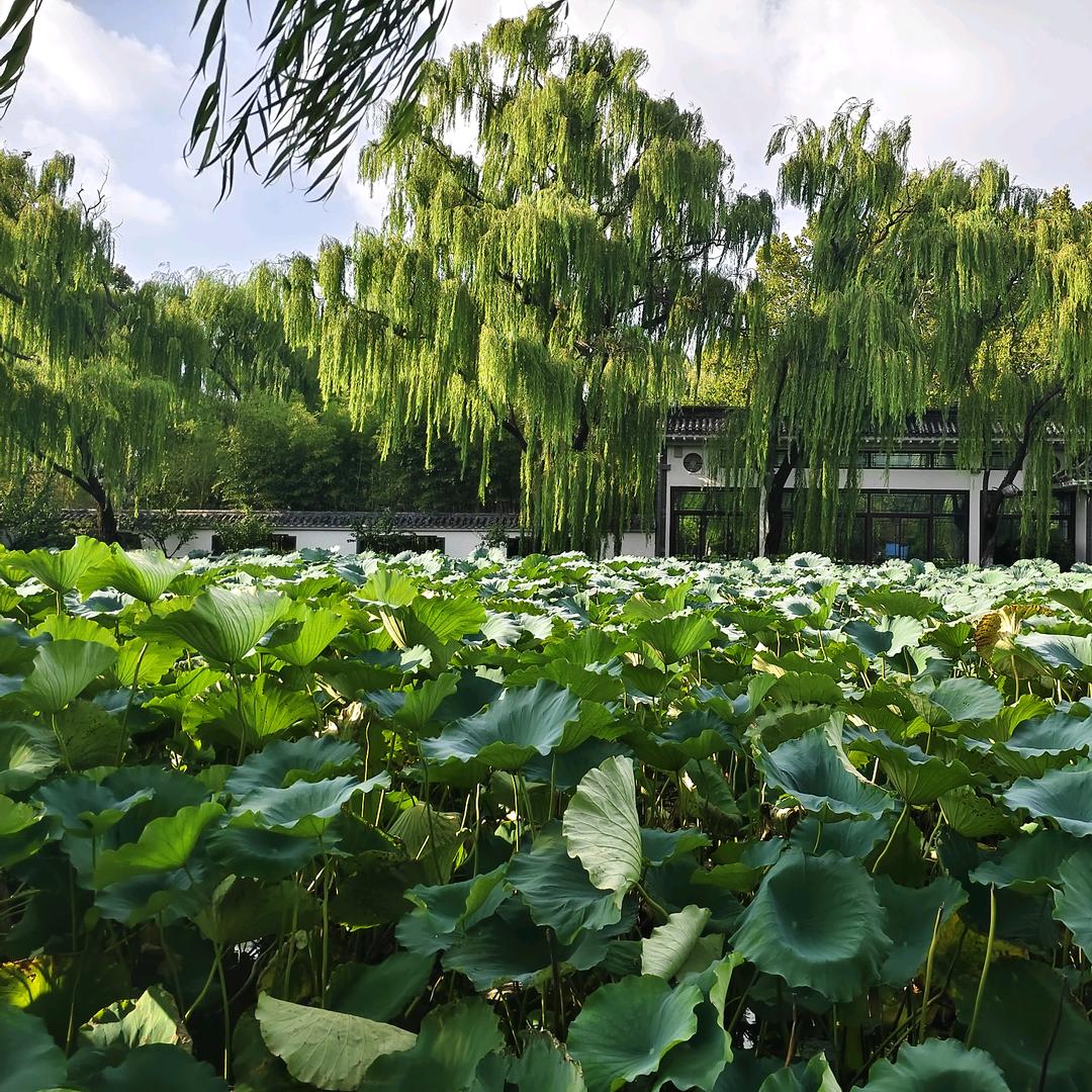 🚬谋财💰度凡尘