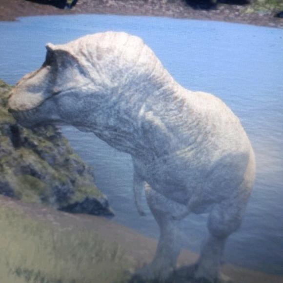 诅咒之岛白暴（上学版）