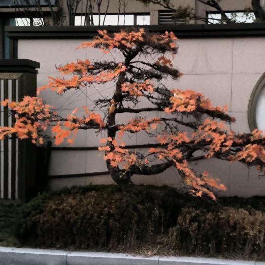 用户8620025700123