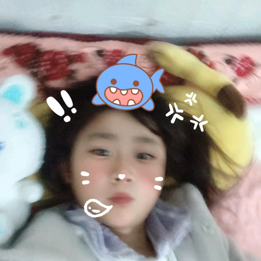 可爱的小熊
