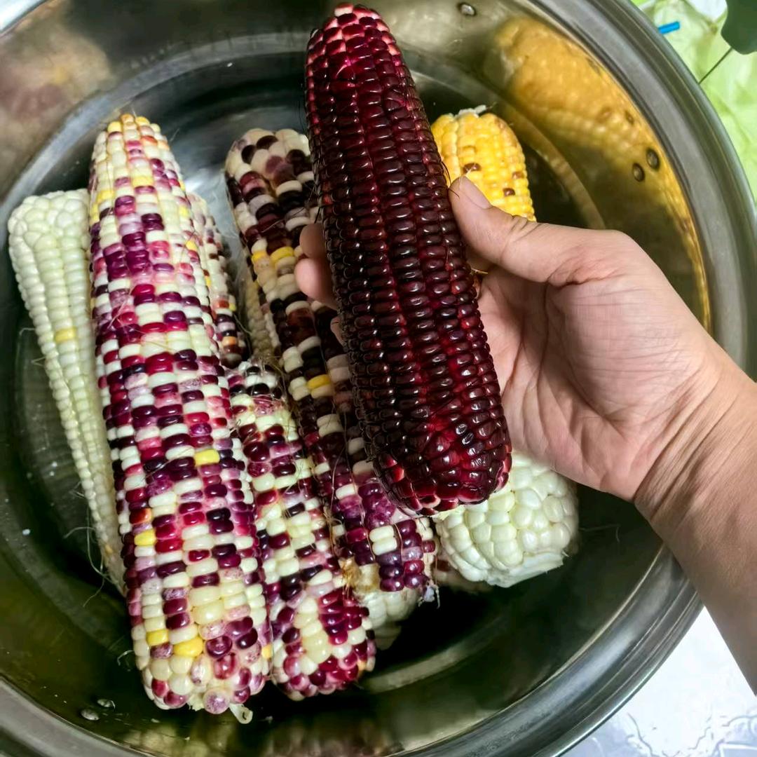 东北特产小掌柜