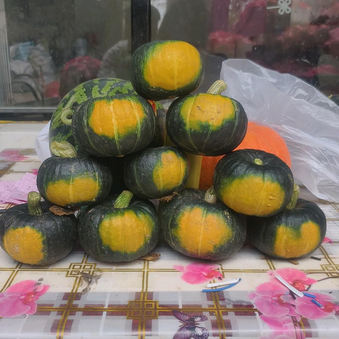 陈力贝贝南瓜种植回收供应