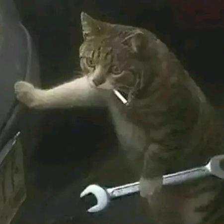 ℳ̶̶♡̶҉唯有拼搏᭄ℳ