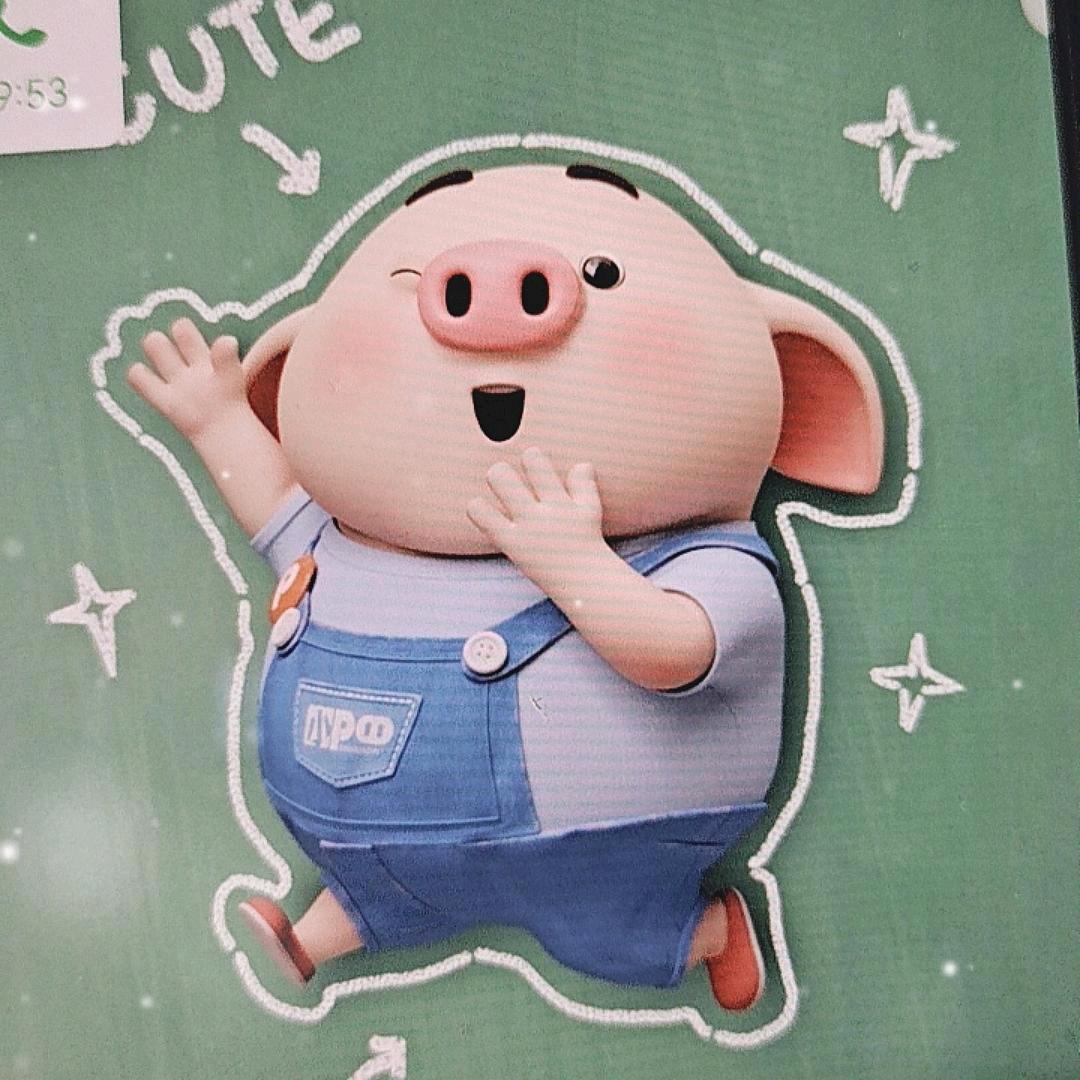 胖球
