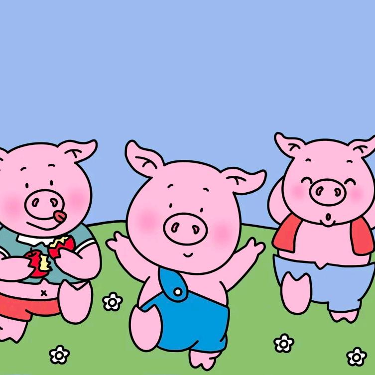 三只猪🐷
