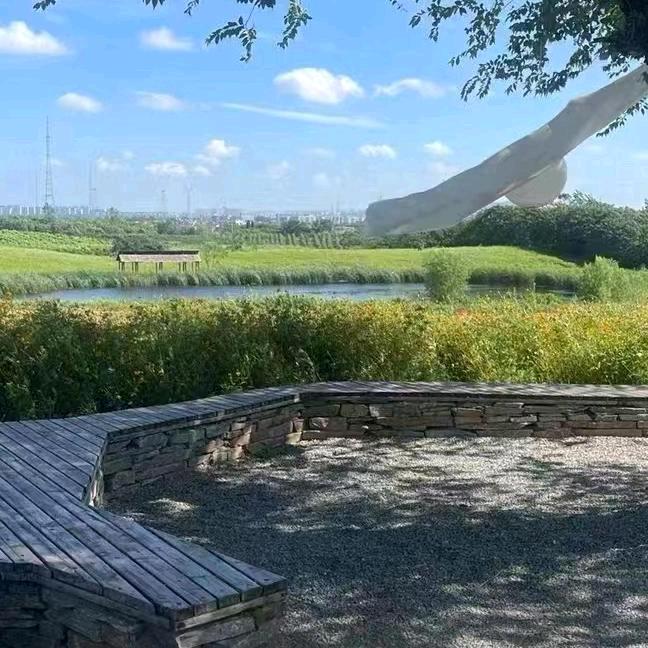 用户何哥198873666