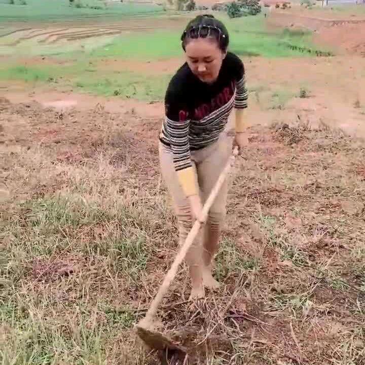 小杨爱生活