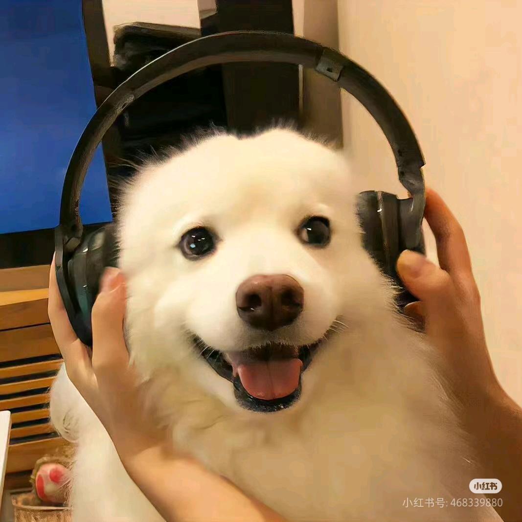 阿坤优选