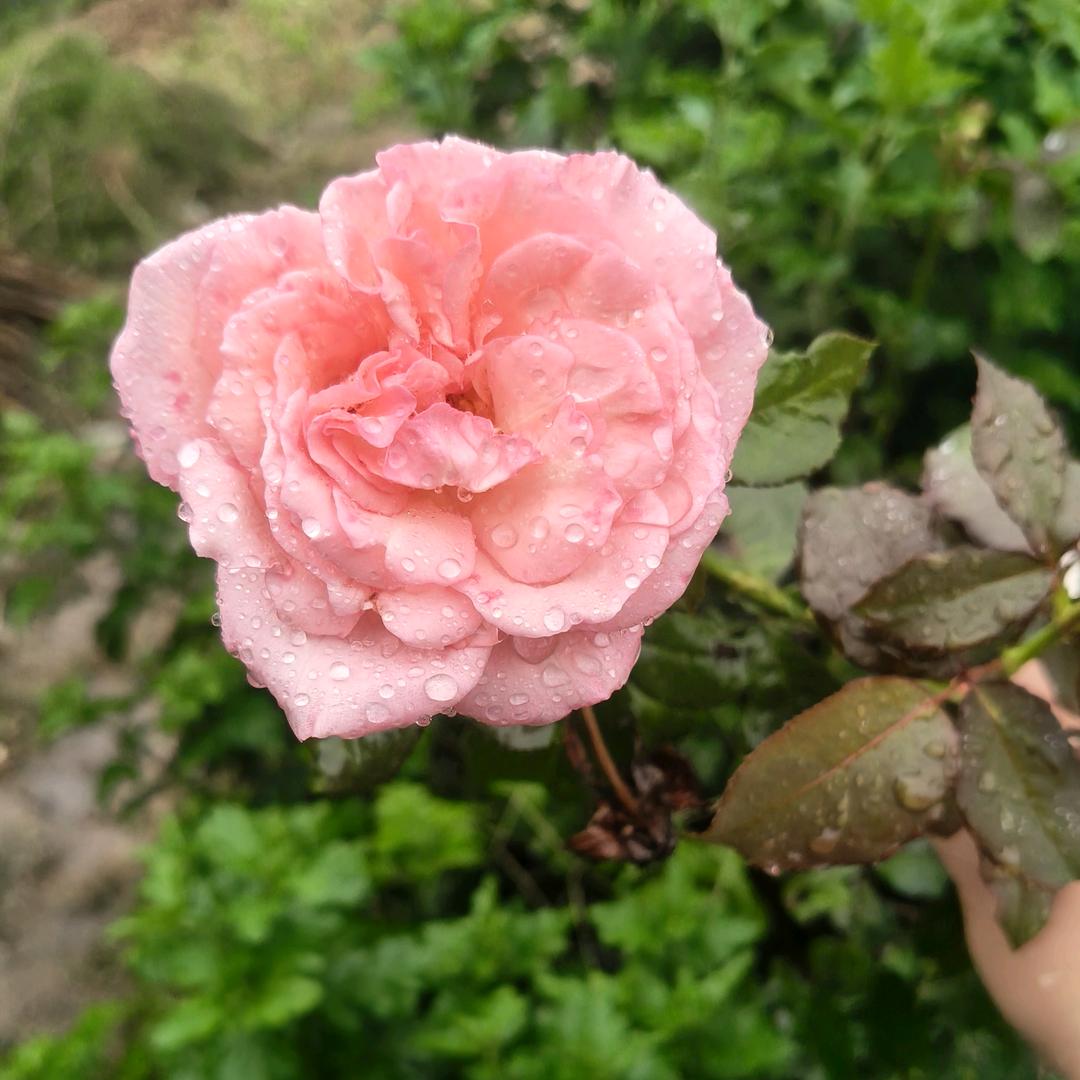 悦人不如悦己