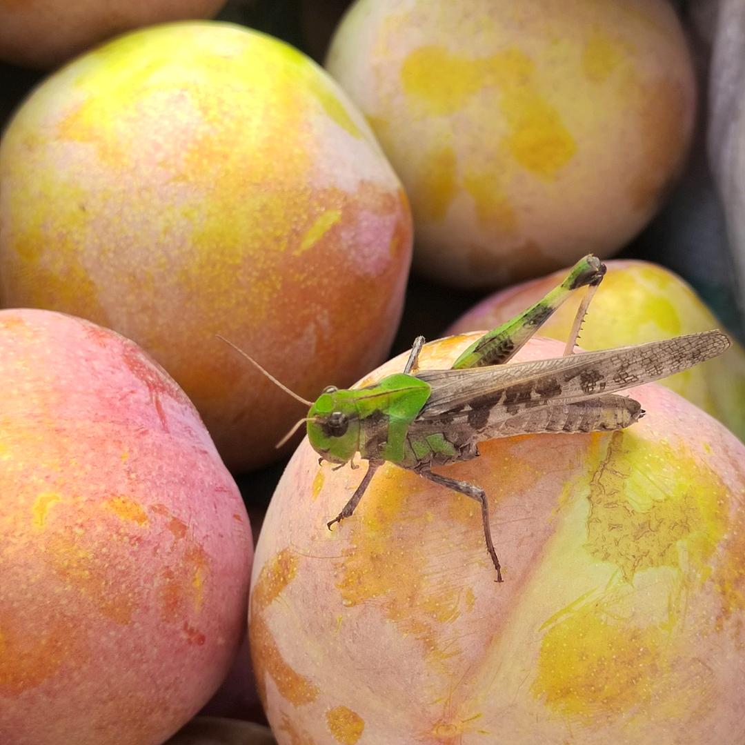 🧸Li•ᴗ•u ಣ