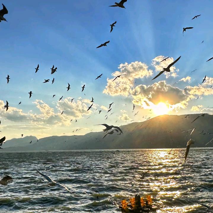 零七杂八👊🏻