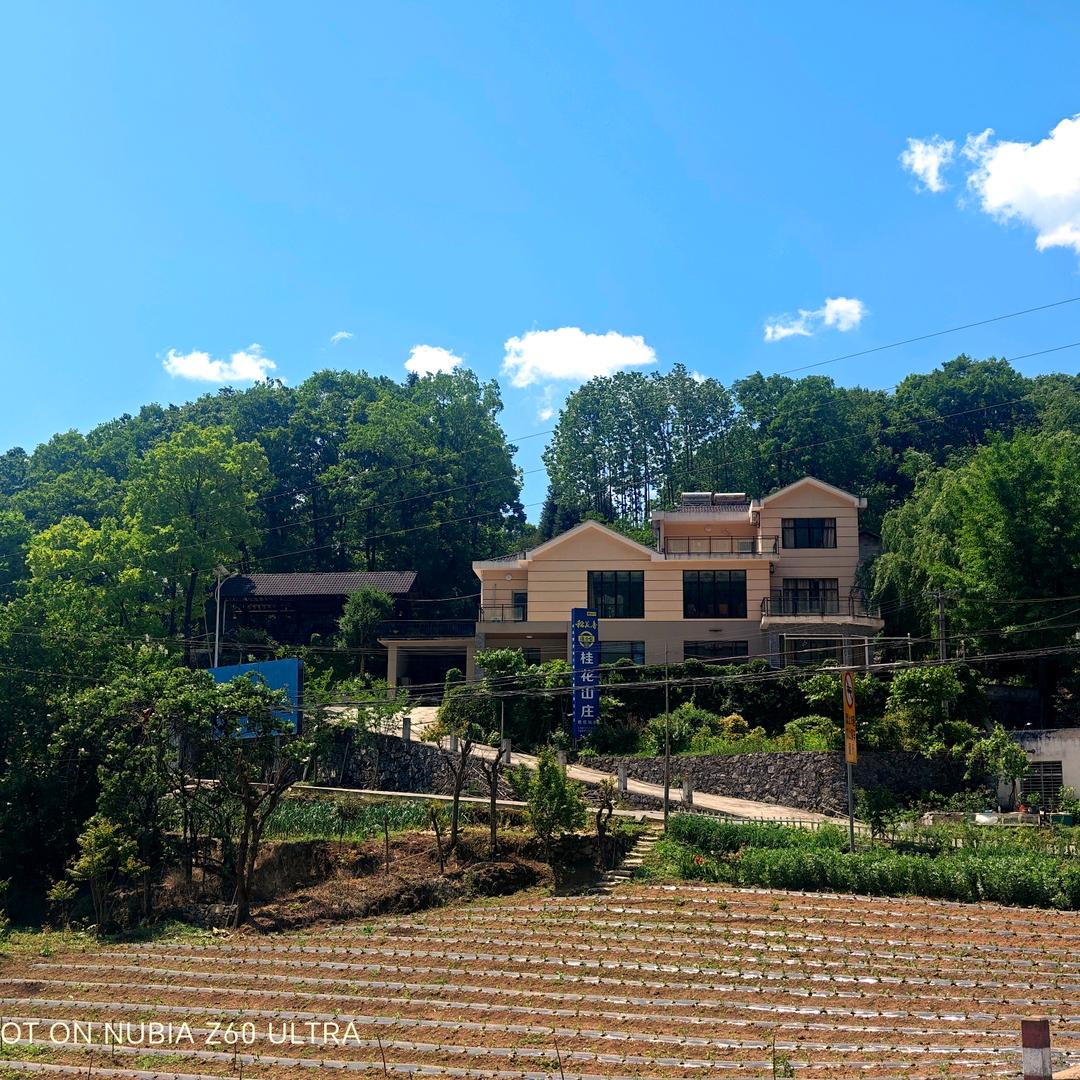 柴埠溪桂花山庄