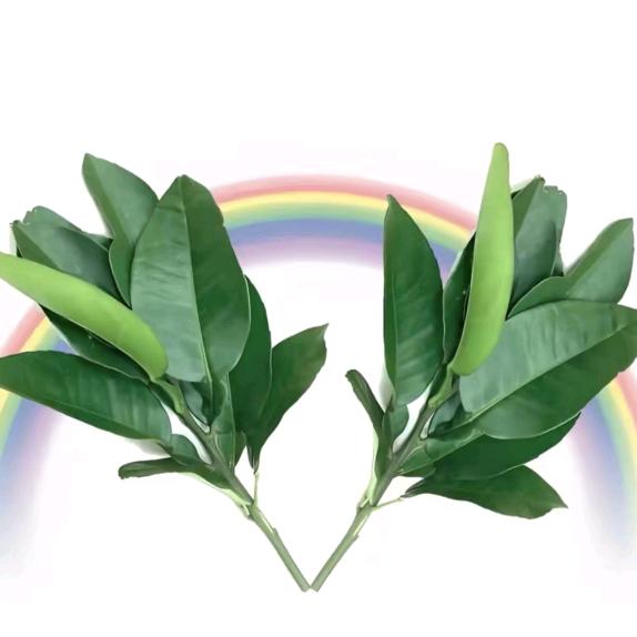 是芮不是丙
