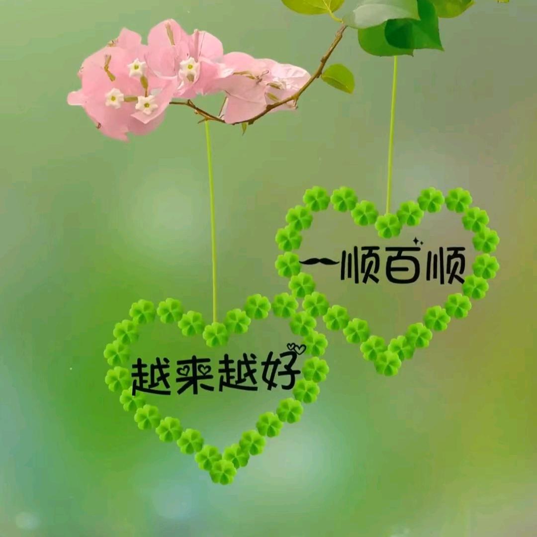 心向阳光……遇见梅好