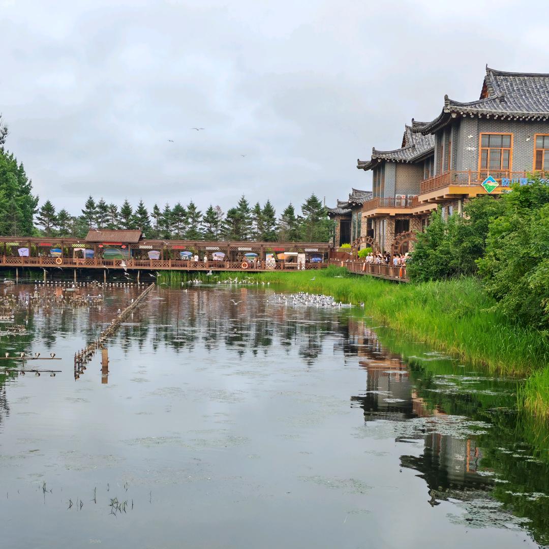 小鸟依人的女人😛😜