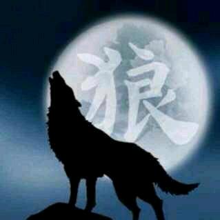 庆哥的狼说