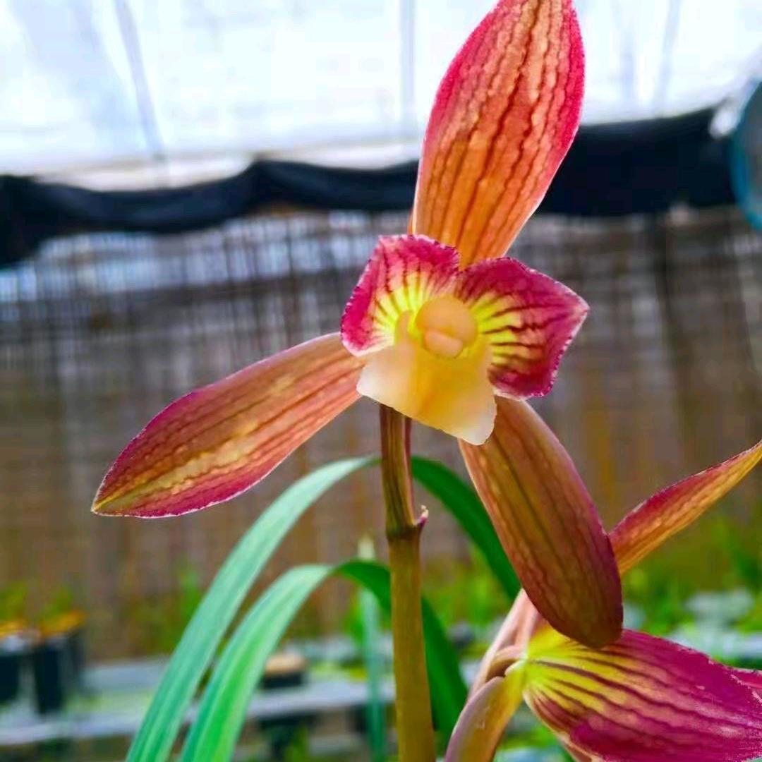 心静方能疑神聚