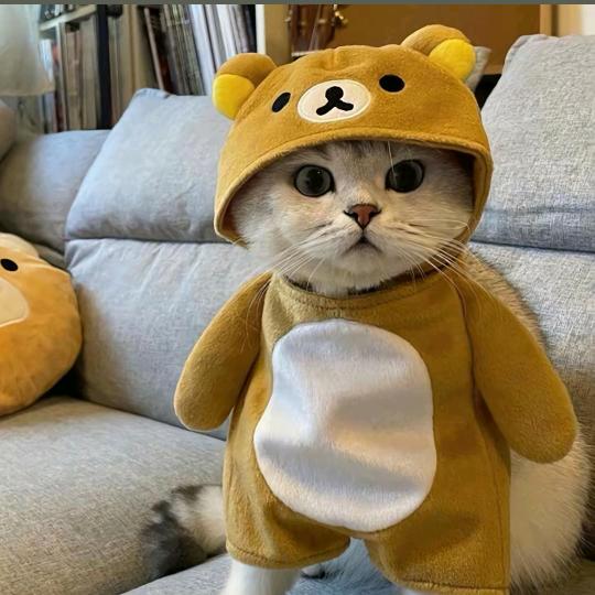 tralala 特拉拉梨