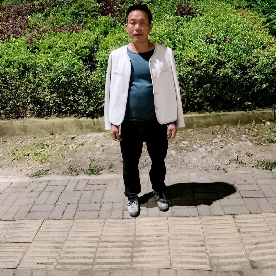一家和木