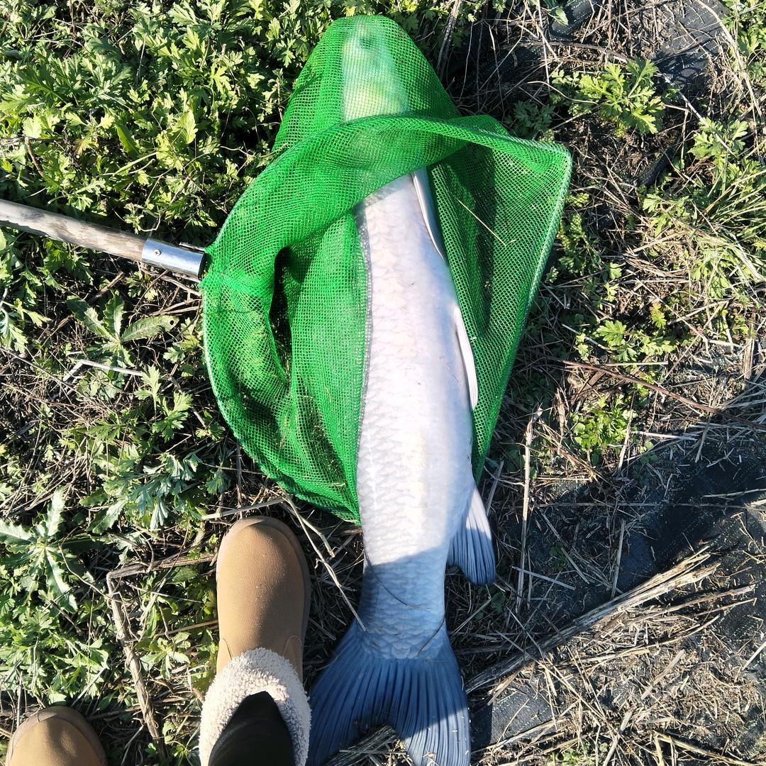 @孙桥水库(小库)