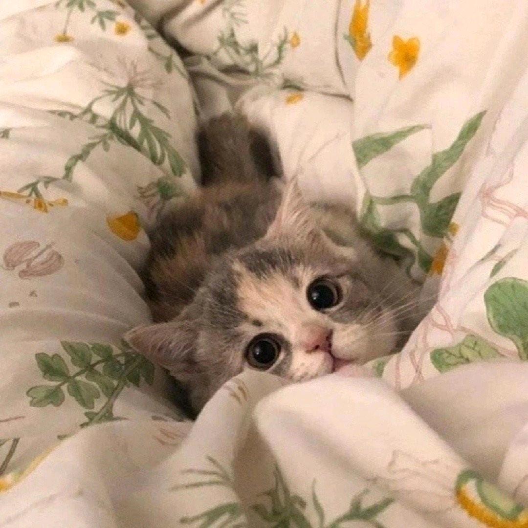 林梢