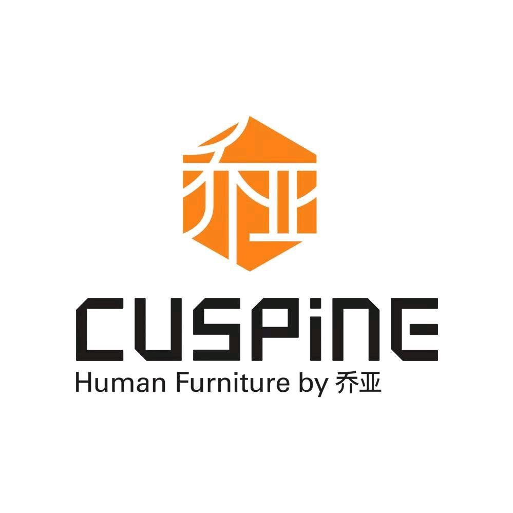 沈阳乔亚全屋定制-金子