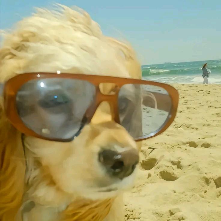 经常自律的美丽