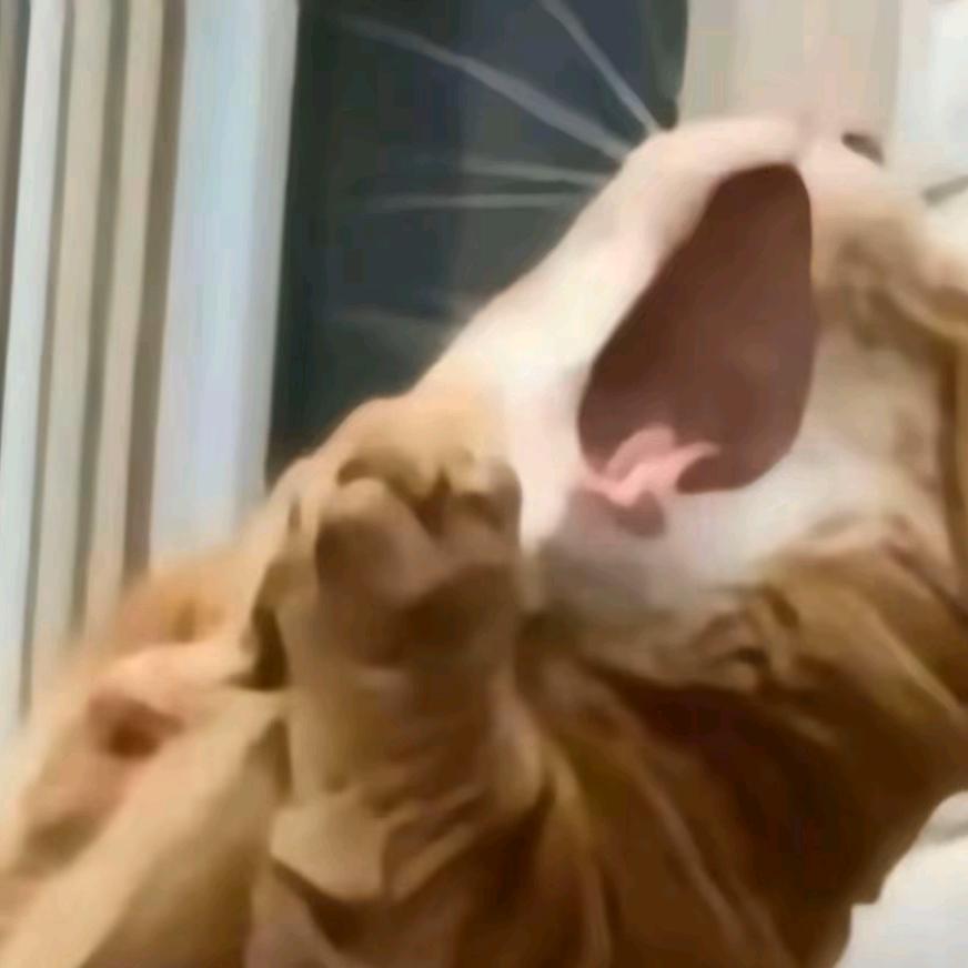 要！是！能！重！来！