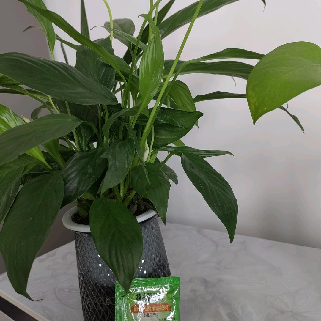 有你真好😃