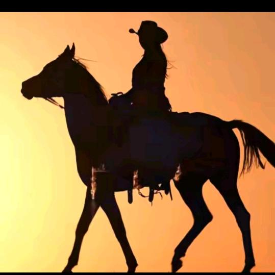 🇨🇳鸿哥🇨🇳