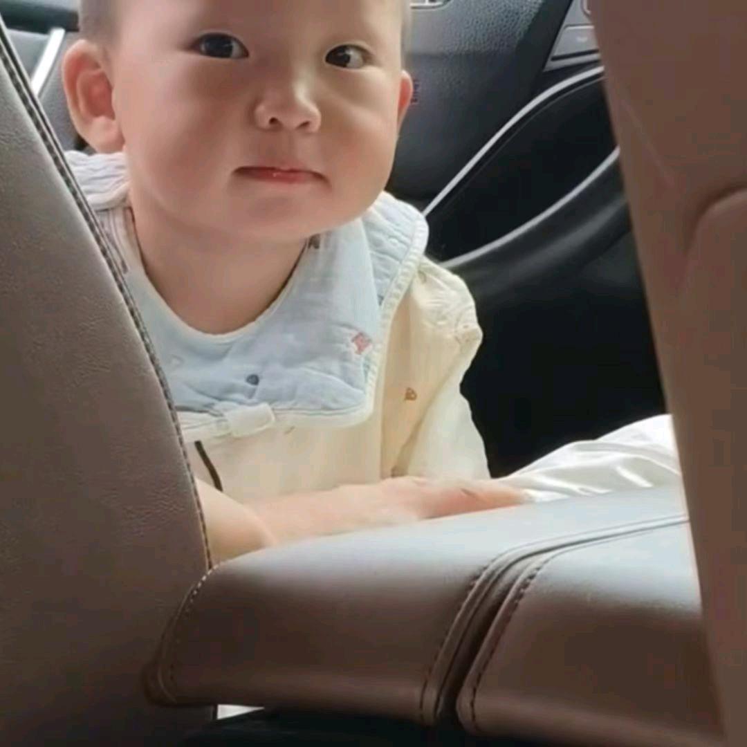 打不死的小强！