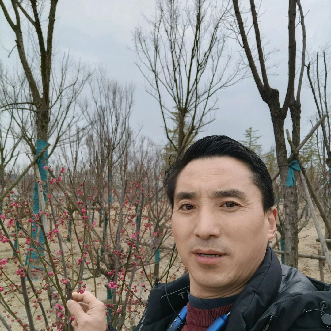 🌈杨哥好物分享