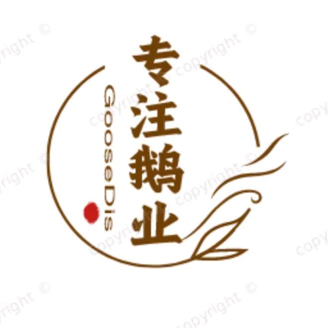 鹅兽医-小李