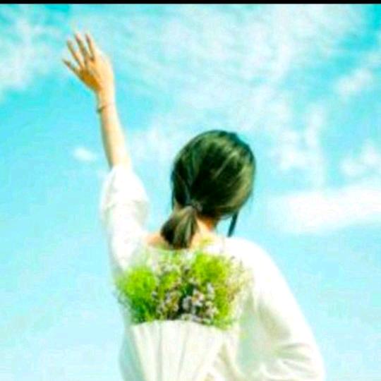 心向阳🌻