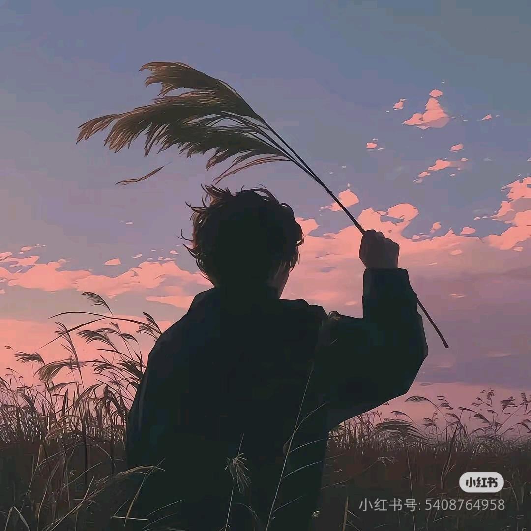 猫老大（PC游戏爱好者）