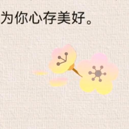 迈塞尔夫