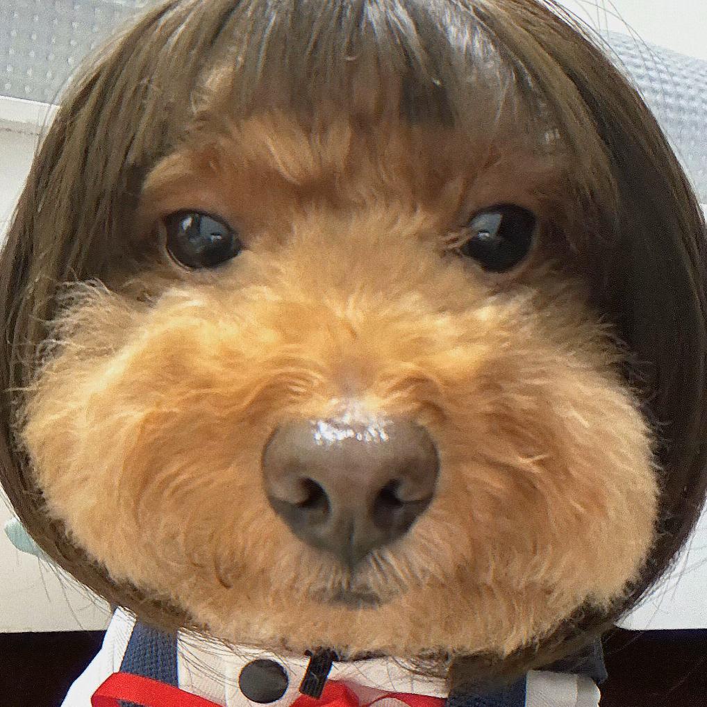 嘻嘻(ღ˘⌣˘ღ)