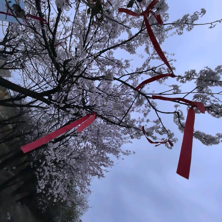 @小胡⁹¹³日常