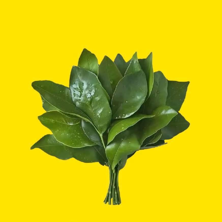 何以解忧唯有退休