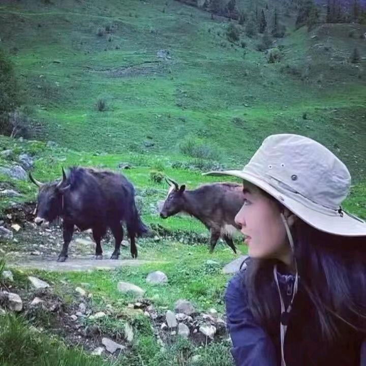 沉默🍀