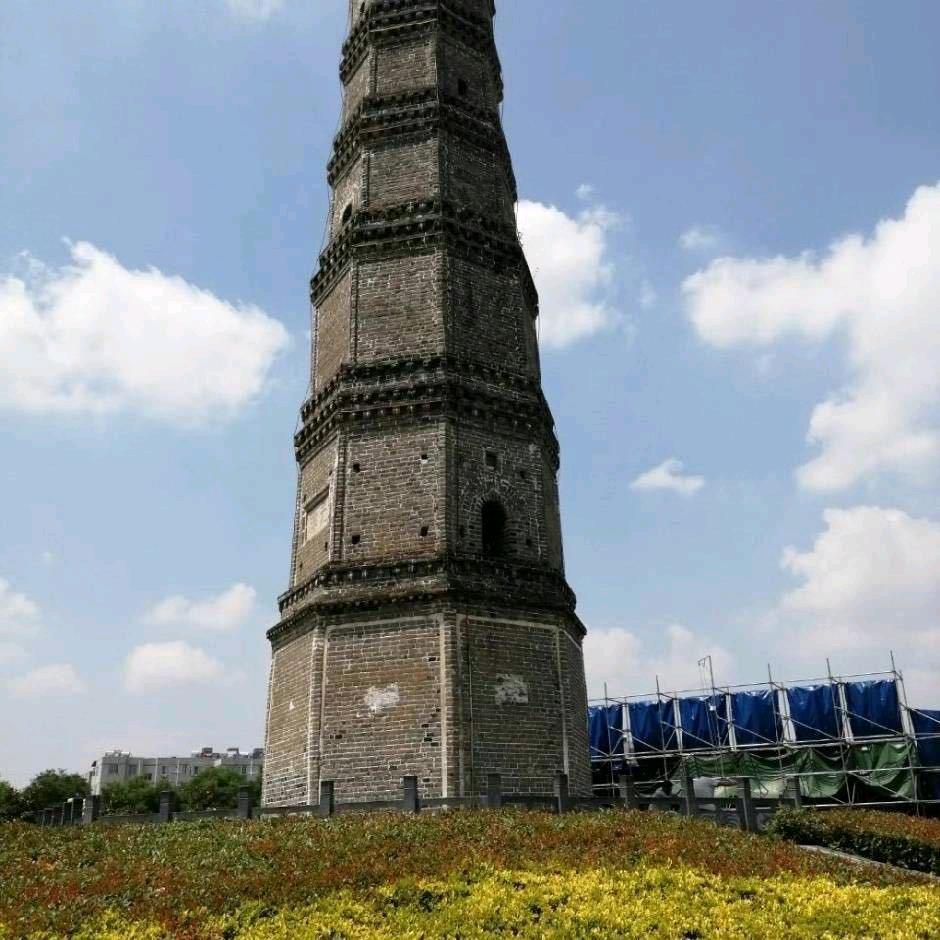 理辉茶庄宣传号（万能网运营中心）