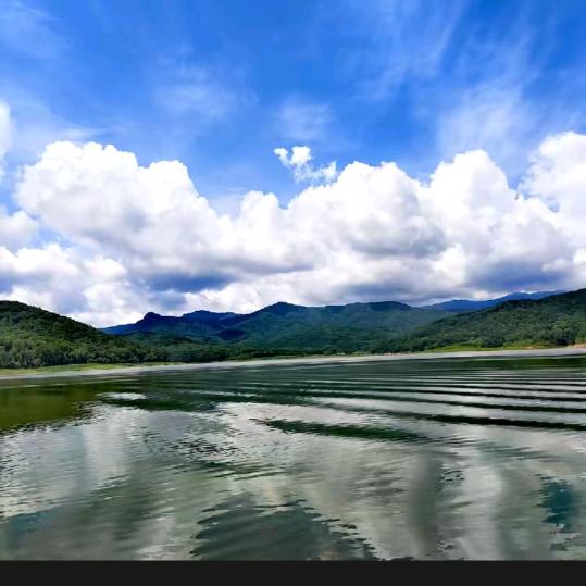 龙哥💞爱💞冉冉