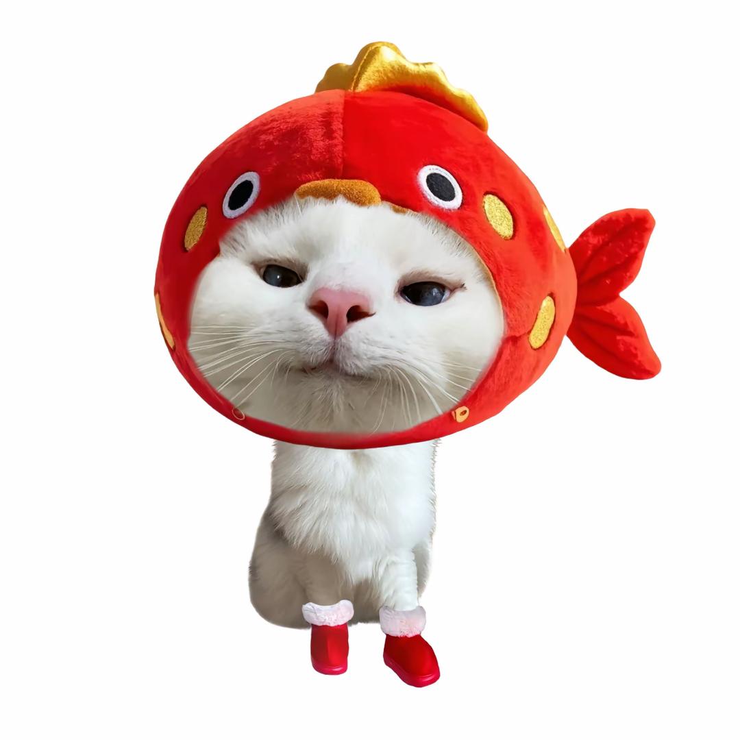 财神爷专宠之狂吃不胖的美女