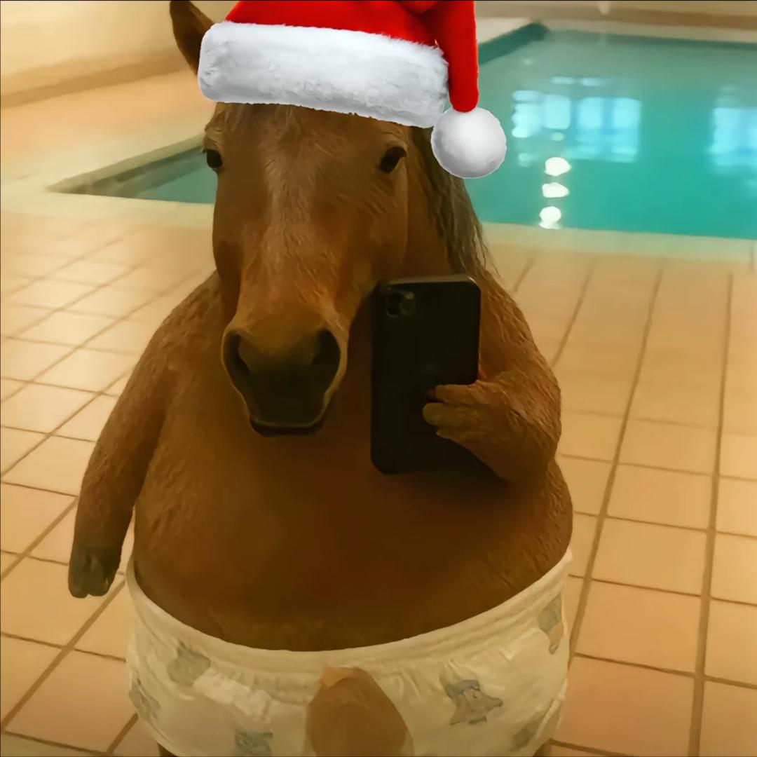 大大大大大大大鱼